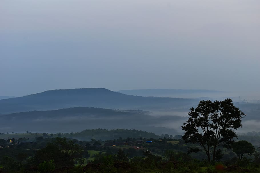 fresh-fog-wind-landscape